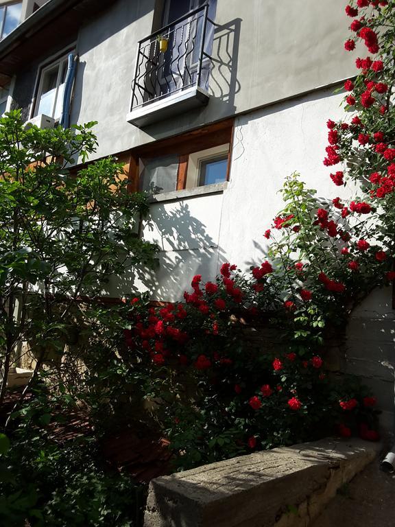 Diana Guesthouse 大特尔诺沃 外观 照片