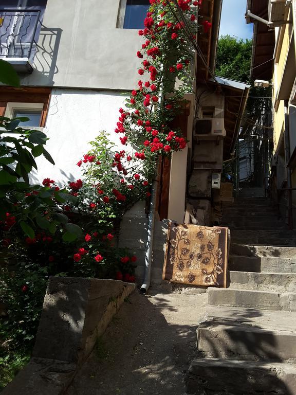 Diana Guesthouse 大特尔诺沃 外观 照片