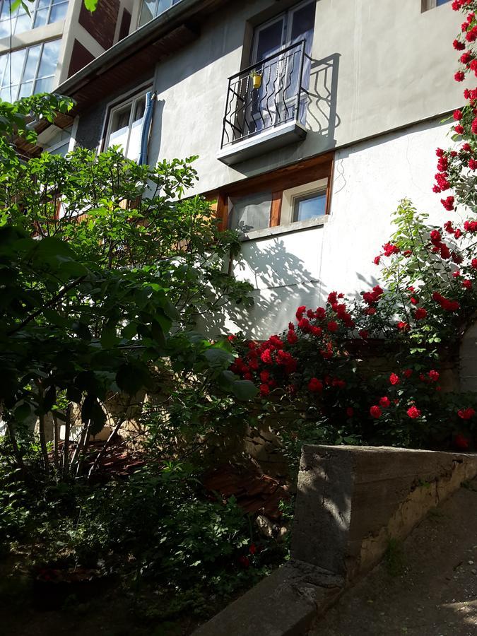 Diana Guesthouse 大特尔诺沃 客房 照片